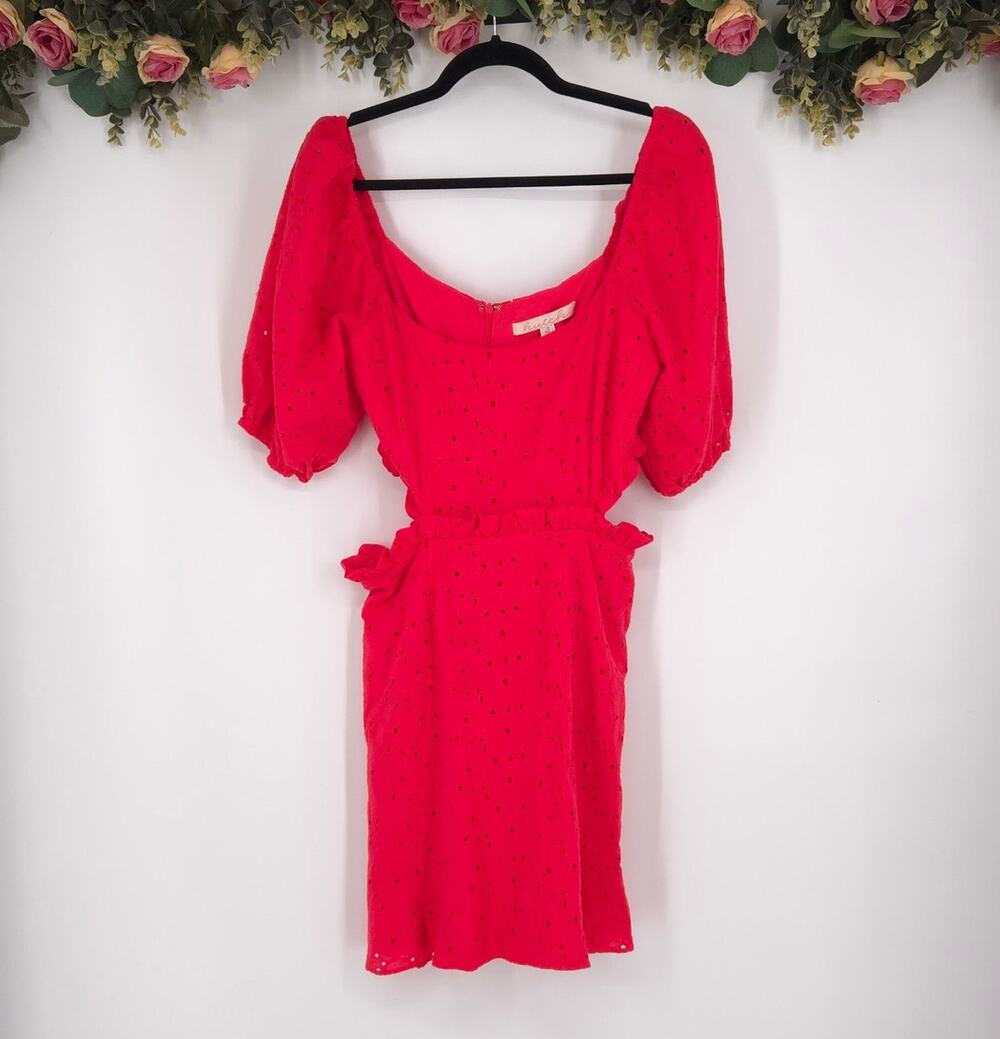 Hutch Puff-Sleeve Cut-Out Mini Dress Size 4